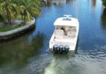 White motor yacht cruising in a blue canal beside a palm-lined curved shoreline; a man sits at the helm in the cockpit.